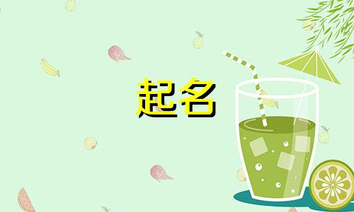 定制中文起名软件有哪些