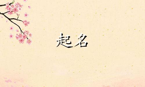 母猫起名特色名字有哪些