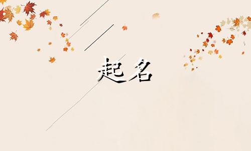 公司起名简单字有哪些