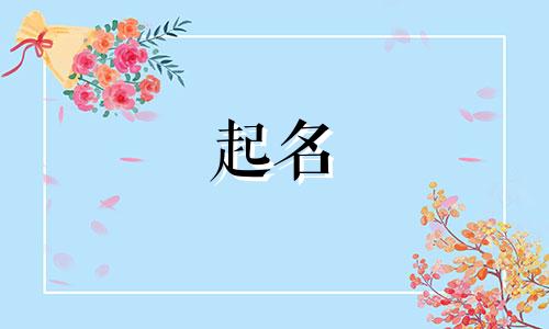 猫咪起名姓氏有哪些字