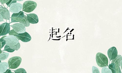 起名不准用哪些字母好