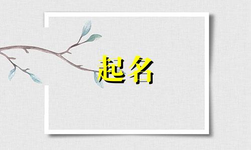 起名神器歌曲有哪些好听