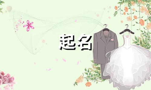 公众号起名有哪些导向