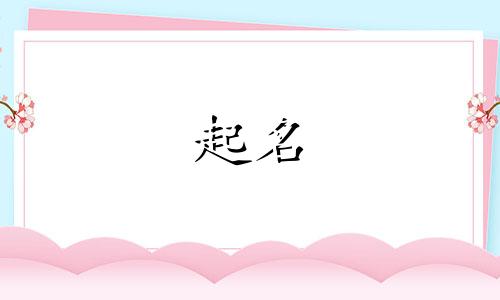 教育行业起名软件有哪些