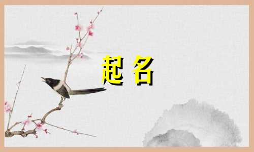 苹果版起名软件有哪些