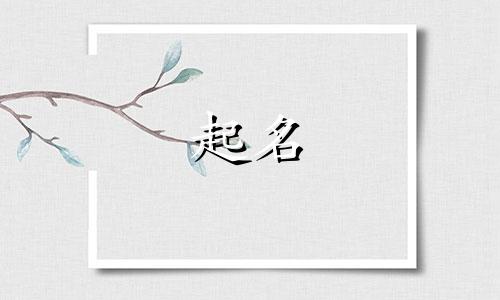 药名起名规律有哪些呢