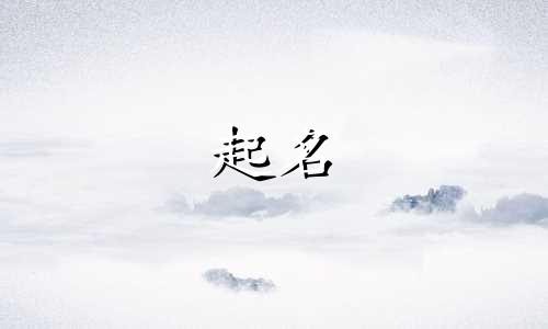 国风起名软件有哪些名字