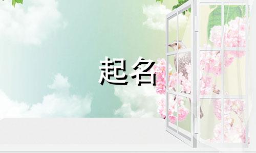 公司行业起名类型有哪些