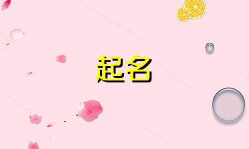 起名在线咨询平台有哪些