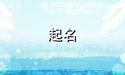 起名大师宁夏有哪些名字