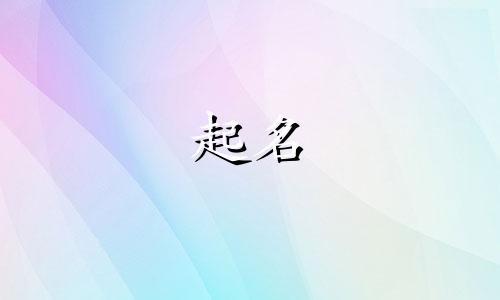 宠物起名道具有哪些好听