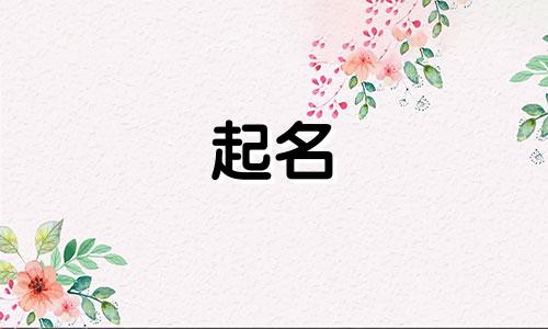 公司起名需要参考哪些信息