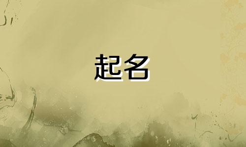 公司起名有哪些要求特别