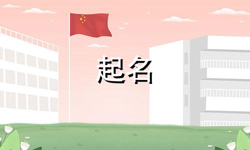 公司起名查询软件有哪些