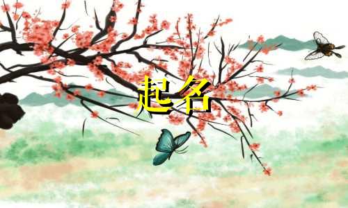 猪年男孩起名有哪些好听