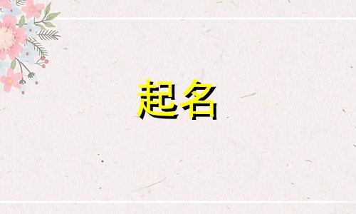 商标起名查询软件有哪些