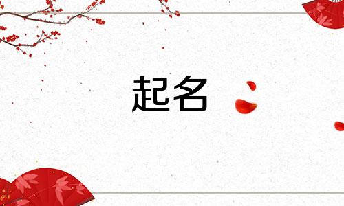 商洛起名专家有哪些名字