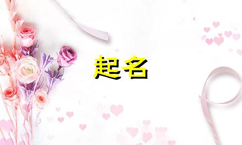 猫咪起名注意哪些事项呢