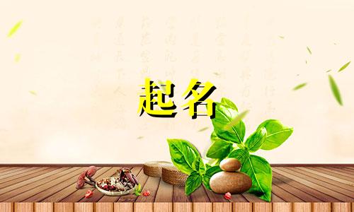 舞蹈起名软件有哪些好用