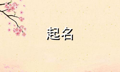 日本起名风格有哪些名字