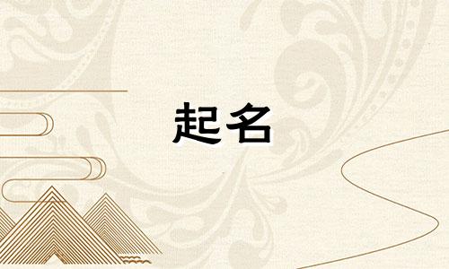 公司起名参考哪些书籍合适