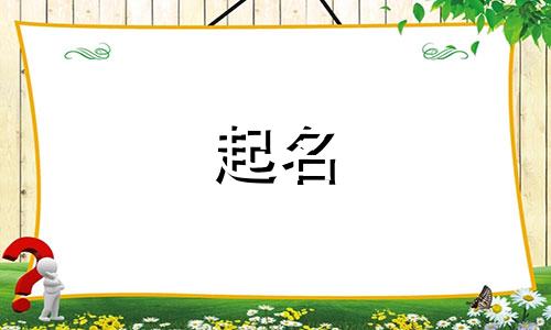 现在公司起名要求有哪些