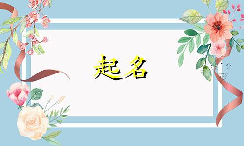 姓张女孩起名叠词有哪些