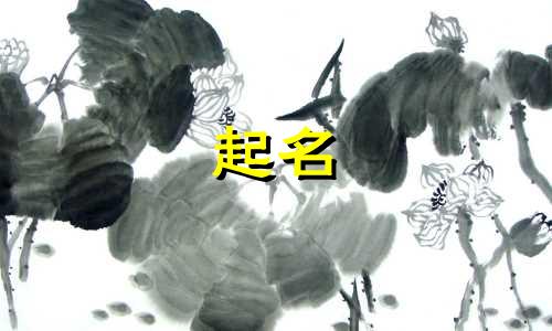 贵阳本地起名平台有哪些