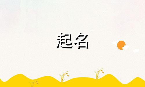 公司起名需要参考哪些资料