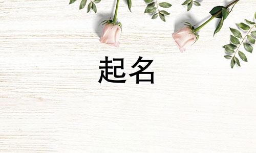 中国起名的流派有哪些