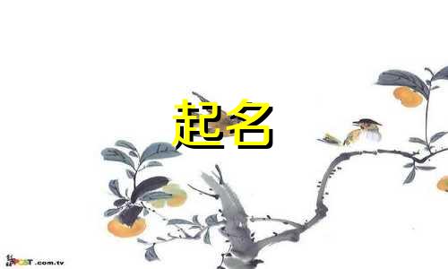 起名哪些字对女孩最好