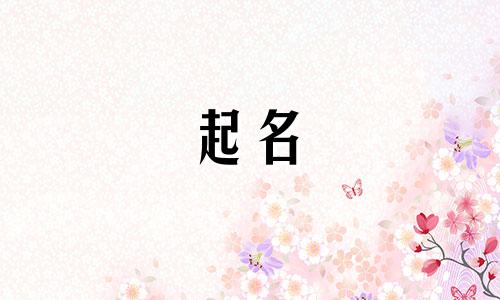 公司起名应具备哪些要点