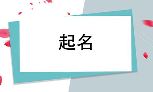 随意起名的软件有哪些