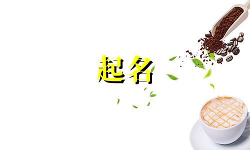 起名中间动词有哪些字体