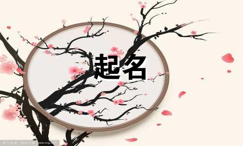 宝宝起名的字母有哪些