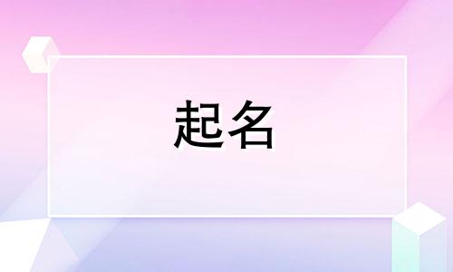 赛车起名讲究哪些因素