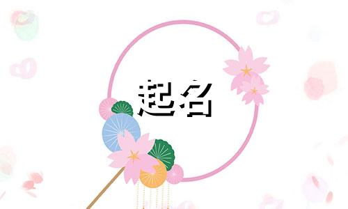 起名机器推荐软件有哪些