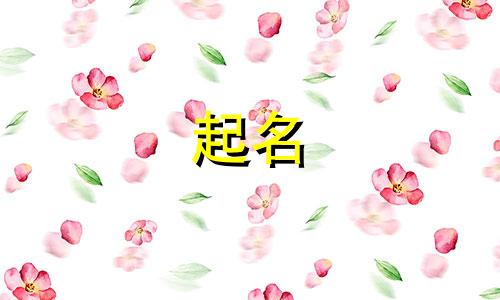 兔宝宝起名哪些字好听