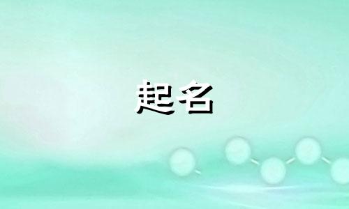 宠物起名的方式有哪些