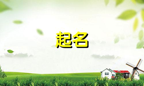 重庆沙坪坝起名有哪些