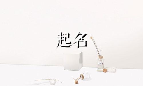 开店起名的游戏有哪些