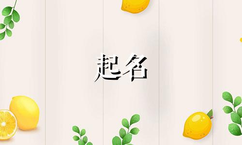 濮阳起名公司有哪些名字