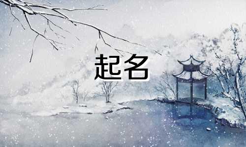 智能场景起名软件有哪些