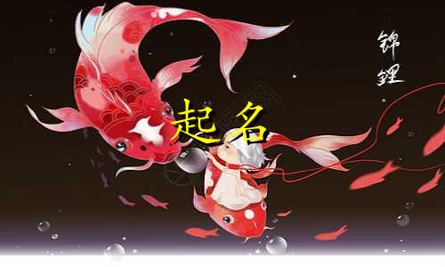 商品起名方法有哪些英文