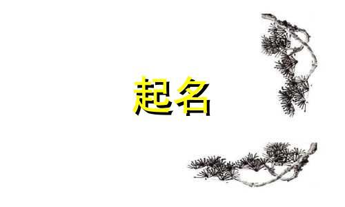 矩阵号起名方法有哪些