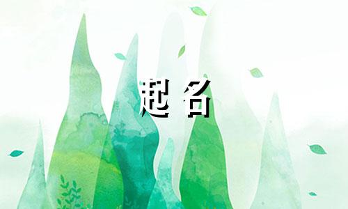 猫咪起名讲究哪些东西呢