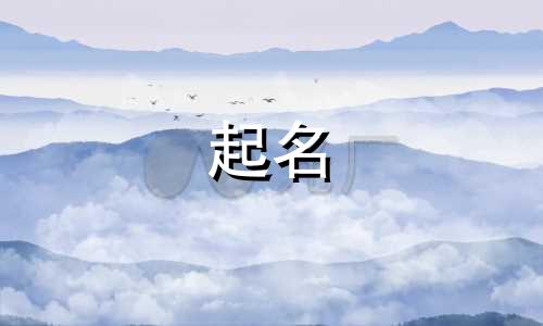 外企起名软件有哪些好用