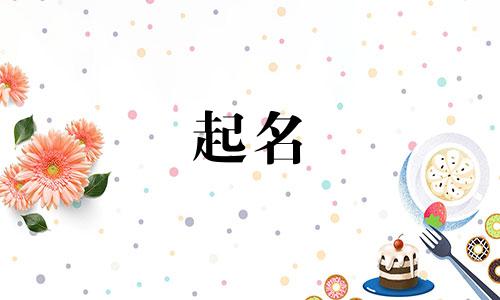 有哪些字不能起名的人