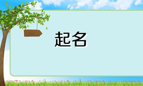 趣味起名软件有哪些好用