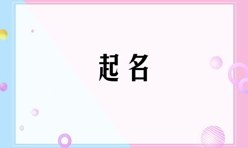 起名软件市场有哪些名字